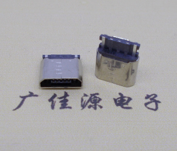 谢岗镇焊线micro 2p母座连接器