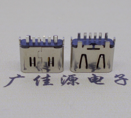 谢岗镇Type-C6P母座立插H=6.25连接器