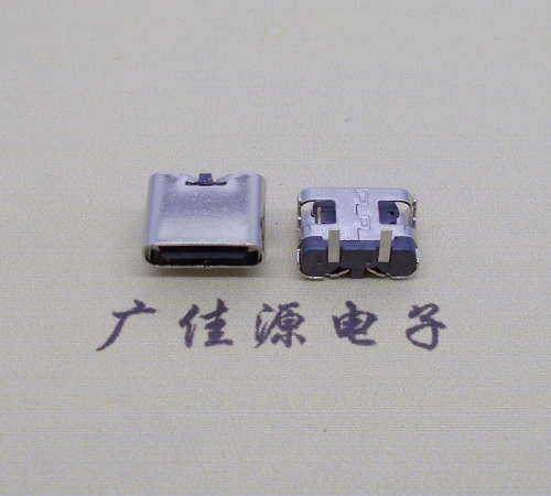谢岗镇 卧式type c2p母座无弹两脚插板