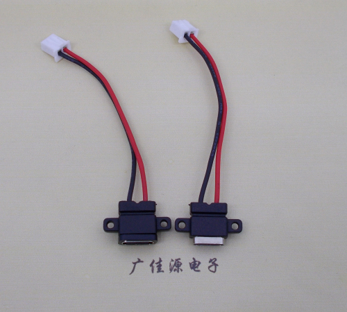 谢岗镇简易type c2p防水母座注塑成型带双螺丝孔焊线式带线带接线端子单充电功能
